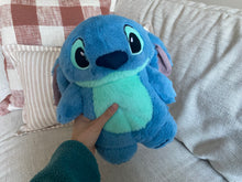 Load image into Gallery viewer, Heat & Hug Plushie